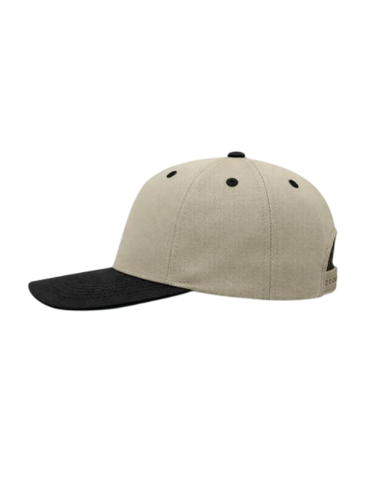 TB. SNAPBACK
