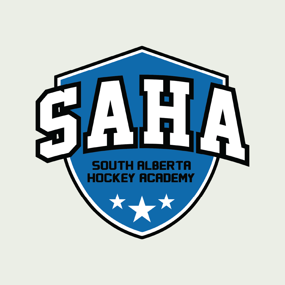 SOUTH ALBERTA HOCKEY ACADEMY